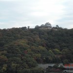 紅葉に包まれた松山城